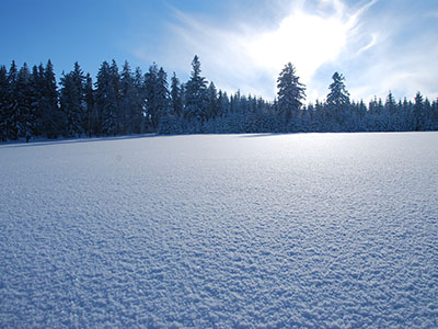 Jagodna