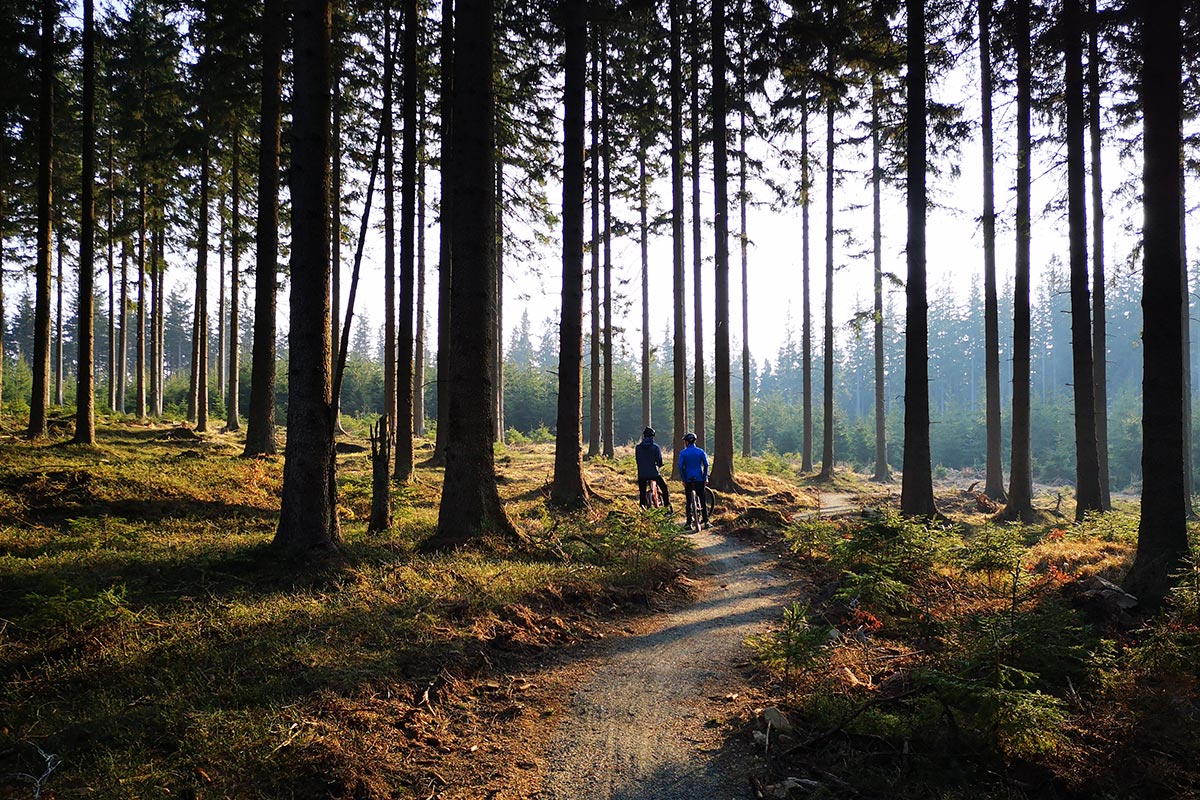Rowery górskie MTB