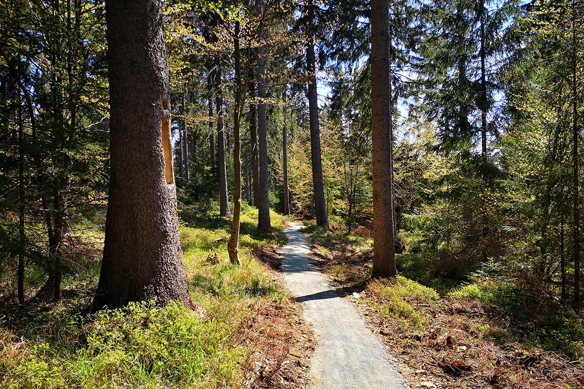 Rowery górskie MTB